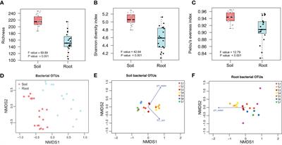 Water pH, not soil pH, alters bacterial community structural pattern and nitrogen cycling pathways in date palm (Phoenix dactylifera L.) roots and bulk soil under freshwater irrigation regime